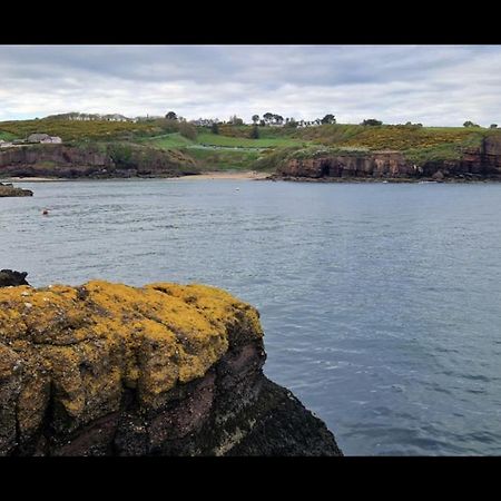 Sandy Cove Данмор-Ист Экстерьер фото