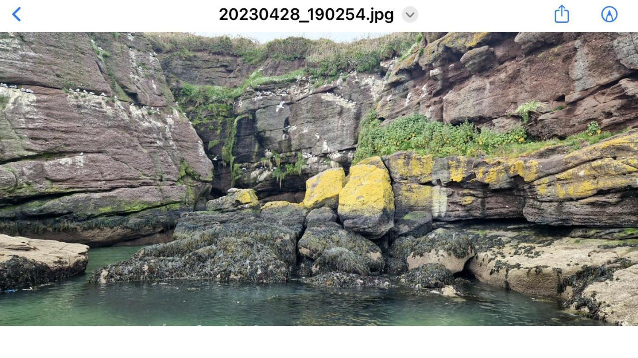 Sandy Cove Данмор-Ист Экстерьер фото